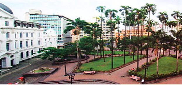 Slide Image1